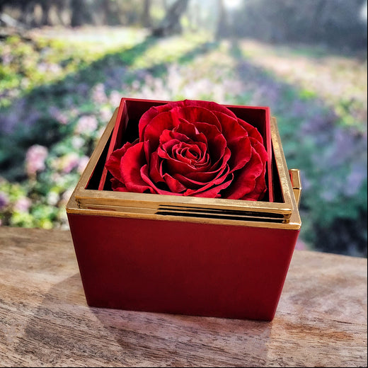 Breathing Interlocking - Daughter Birthday Necklace with Rose Box