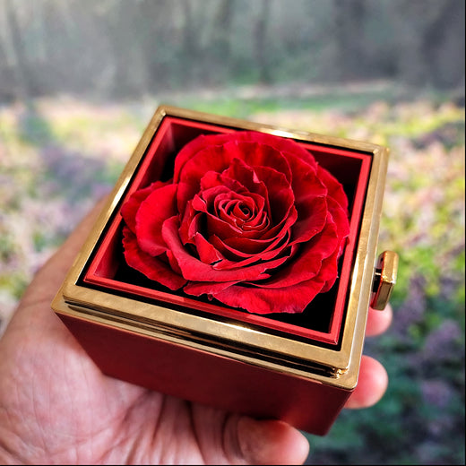 Braver Name - Daughter Birthday Necklace with Rose Box